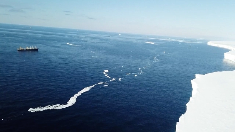 （映像提供：日本鯨類研究所）南氷洋で調査を行なっている捕鯨船