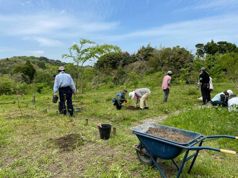 参加者が苗木やタチツボスミレの苗等を植える植樹草会　　　筆者撮影