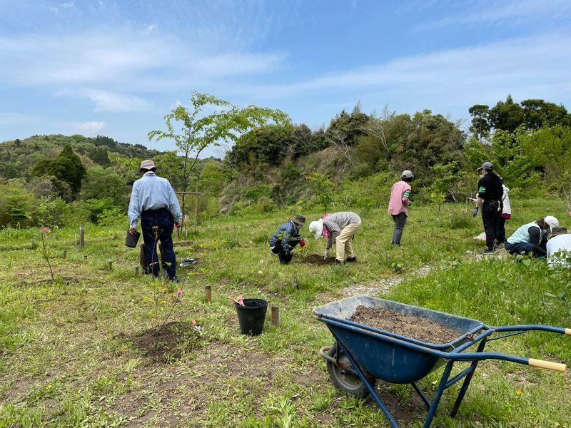 参加者が苗木やタチツボスミレの苗等を植える植樹草会 筆者撮影