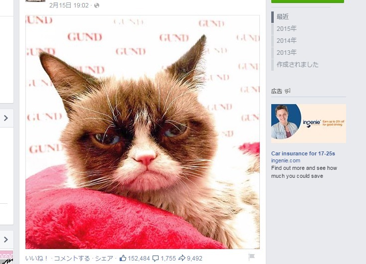 The Official Grumpy Catの公式フェイスブックより