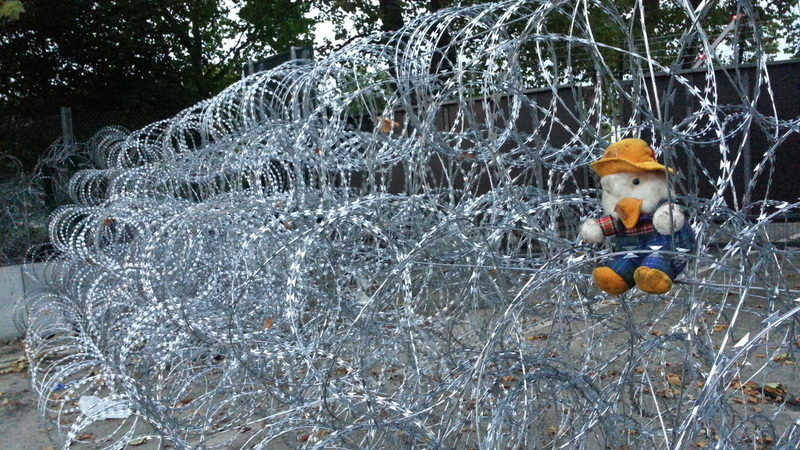 有刺鉄線で国境を封鎖するハンガリー（昨年9月、セルビア側から筆者撮影）