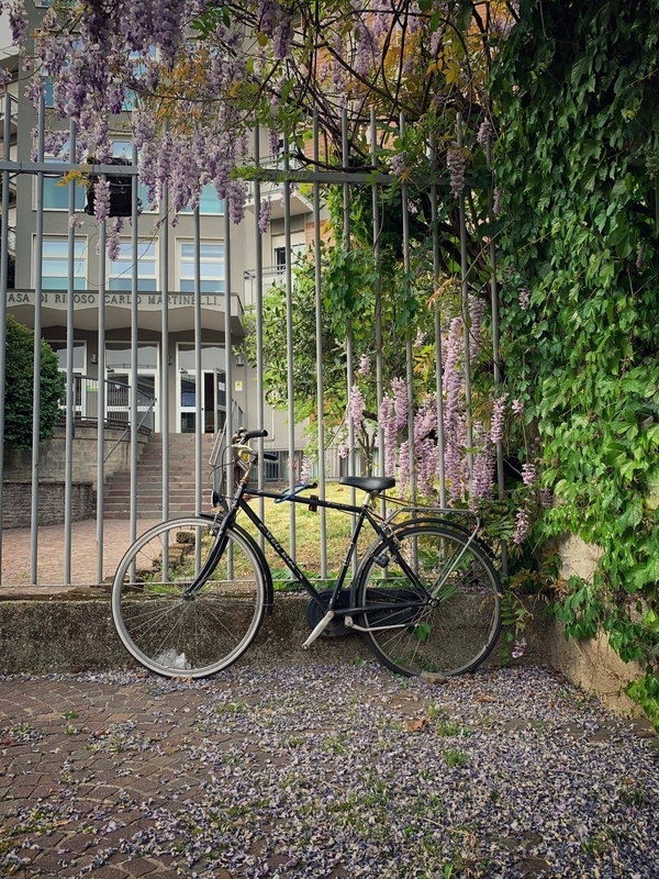 置かれたままになっている自転車（セリーナさん撮影）