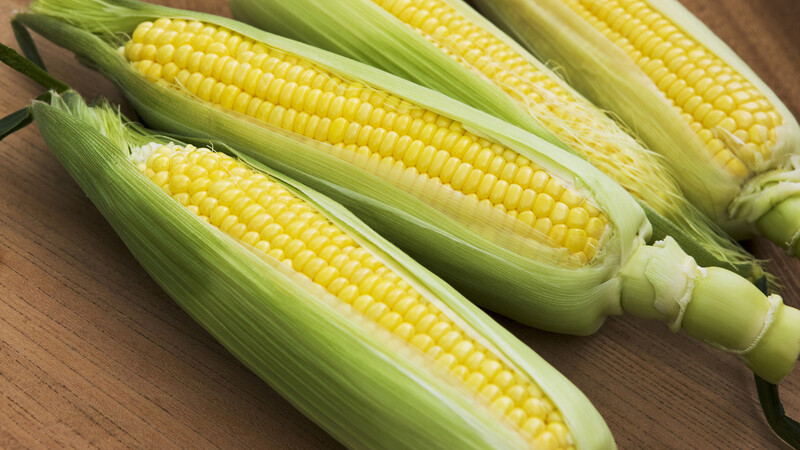 トウモロコシ価格に迫る高温乾燥の脅威 小菅努 個人 Yahoo ニュース トウモロコシ価格に迫る高温乾燥の脅威 小菅努 個人 Yahoo ニュース