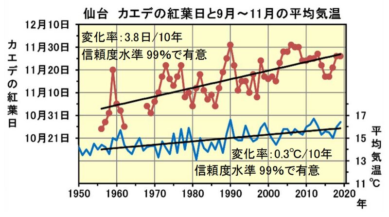 仙台のカエデの紅葉日と9月～11月の平均気温（仙台管区気象台HPより引用）