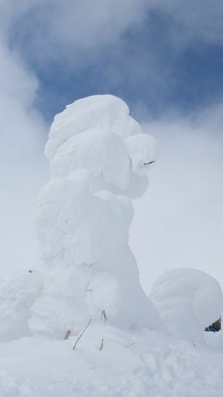蔵王山頂付近の樹氷(今月12日　著者撮影)