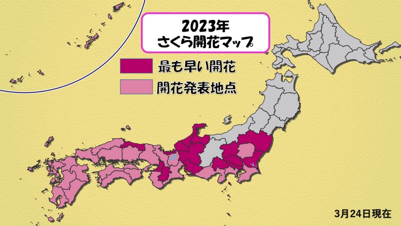 気象庁が開花を発表した地点　濃いピンク色は過去最も早い記録になったところ(気象庁発表を基に著者作成)