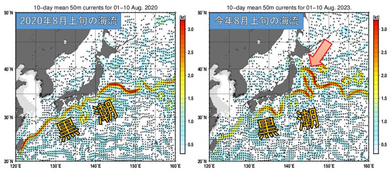 2020年8月上旬と現在の海流　黒潮続流が大きく蛇行して三陸沖まで北上している(気象庁提供のものを筆者加工)