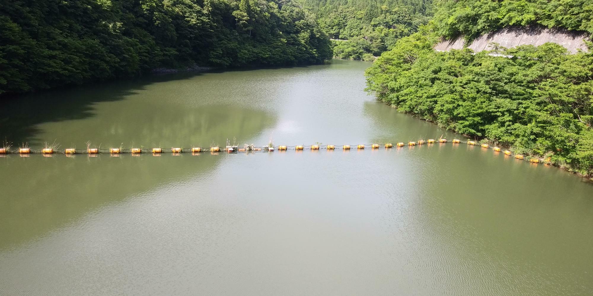 岡山県吉備中央町の河平ダム。上流の山中に置かれた使用済み活性炭からPFOAが流れこみ、水道水に混入したとみられている＝2024年６月10日、筆者撮影