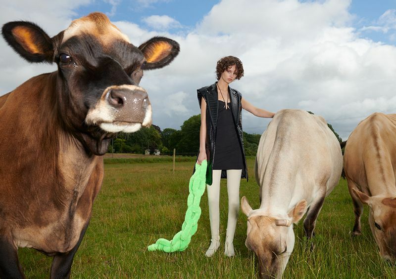 "ファッションの未来は、スタイリッシュでアニマルフリー"をスローガンに、「人と動物たちが平等に共存する世界」を表現　　　　　写真はすべてH&M公式