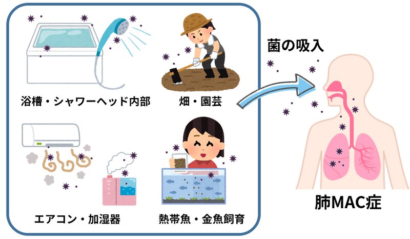 図3. MACの感染源（筆者作成：いらすとや、素材ラボよりイラストを使用）