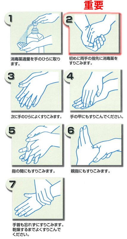 図2. 擦式アルコール手指消毒薬による手指消毒の手順（日本環境感染学会教育ツールVer.3.より引用）