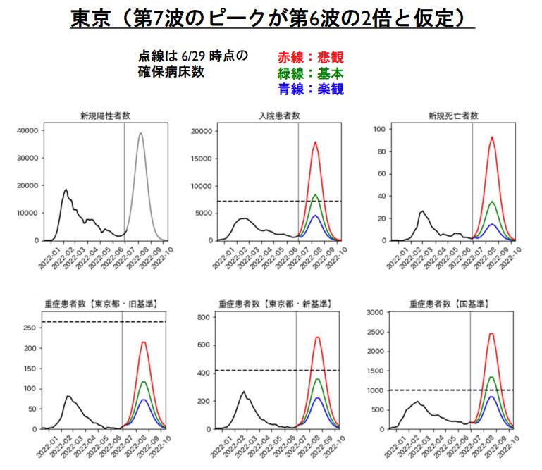 図2. 第7波のピークが第6波と同じと仮定した場合の東京都の入院・死亡・重症患者数（推定）（参考資料2より引用）