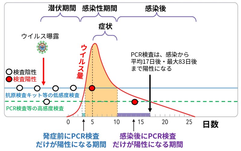 図2. 新型コロナの検査陽性期間(参考資料2より引用)