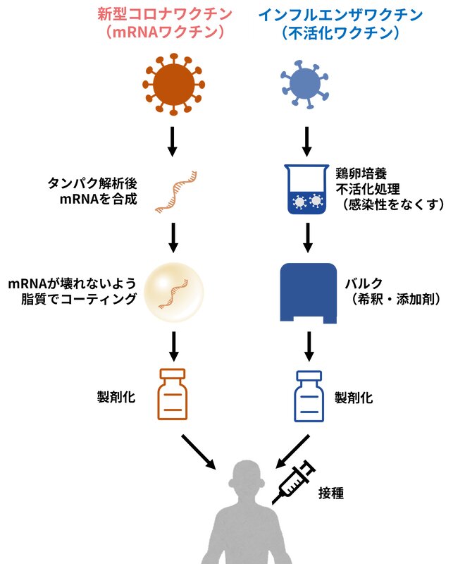 図1. mRNAワクチンと不活化ワクチン（筆者作成）
