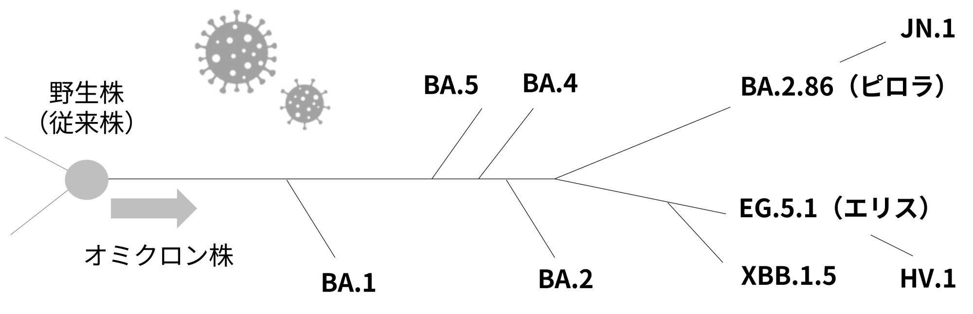 図１．簡略化したオミクロン株の派生（参考資料２をもとに筆者作成、イラストはイラストACより使用）