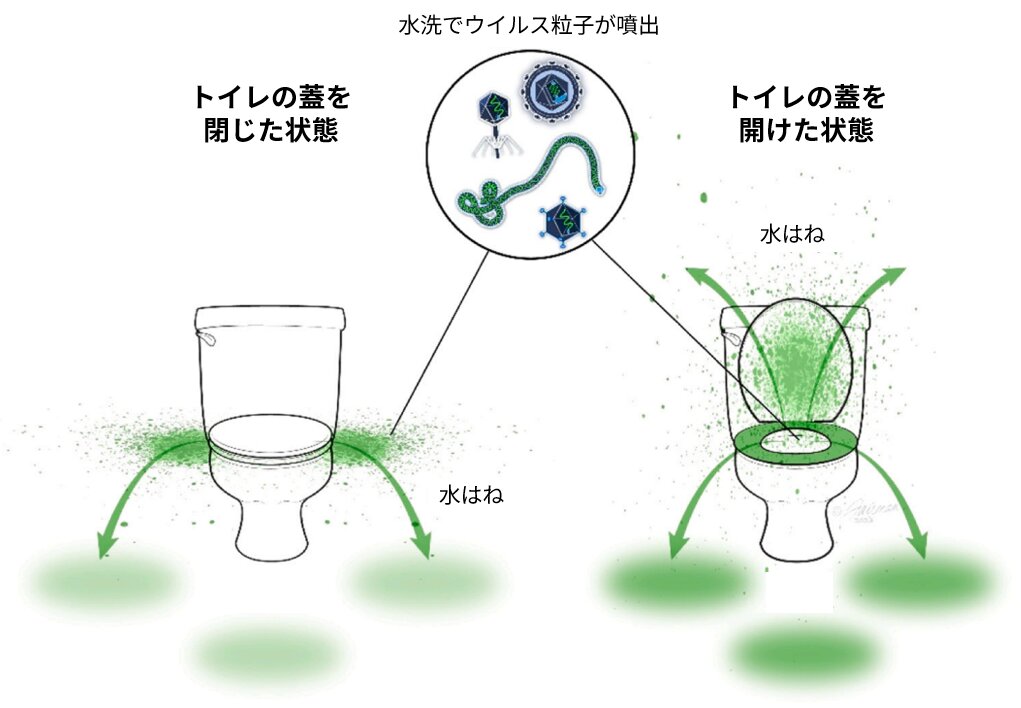 図３．水洗時のエアロゾルのモデル（参考資料３より引用し英語部分を日本語に加工）