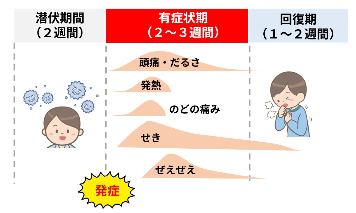 図3.マイコプラズマの経過(筆者作成、イラストは看護roo!)