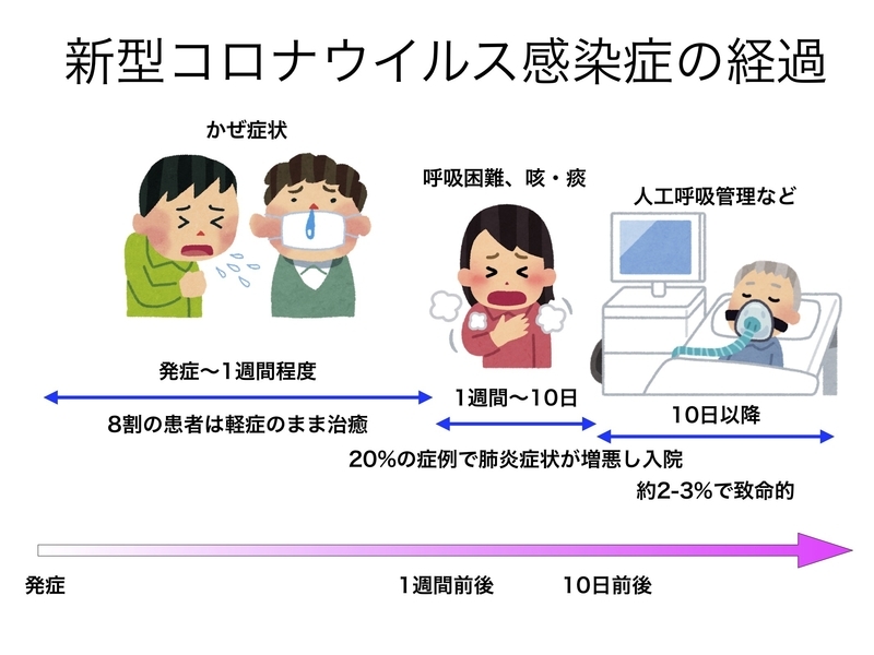 新型コロナウイルス感染症の典型的な経過（筆者作成）