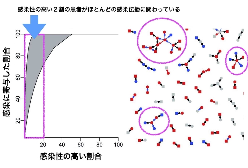 エボラ出血熱における20/80ルール（PLoS Med. 2016 Nov 15;13(11):e1002170.より引用）