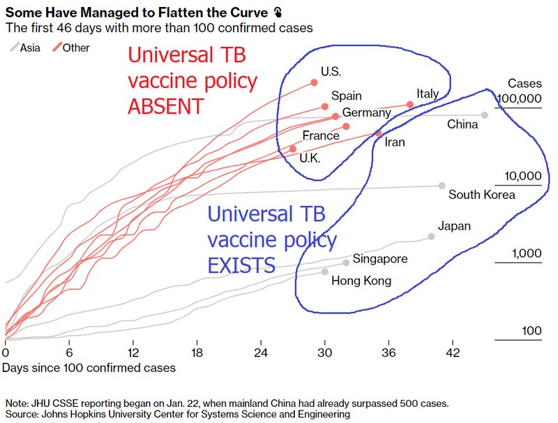 BCGワクチン定期接種と各国の感染者数（@AkshatRathi 氏の投稿より）