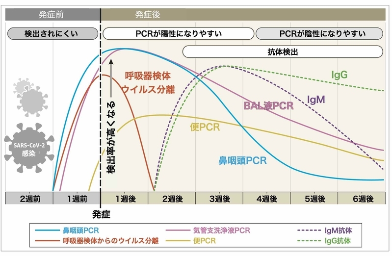発症からの日数とPCR検査、抗体検査、ウイルス分離の陽性率(doi:10.1001/jama.2020.8259より)