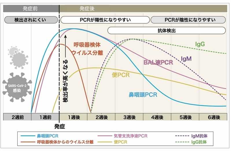 発症からの日数とPCR検査、抗体検査、ウイルス分離の陽性率（doi:10.1001/jama.2020.8259より）