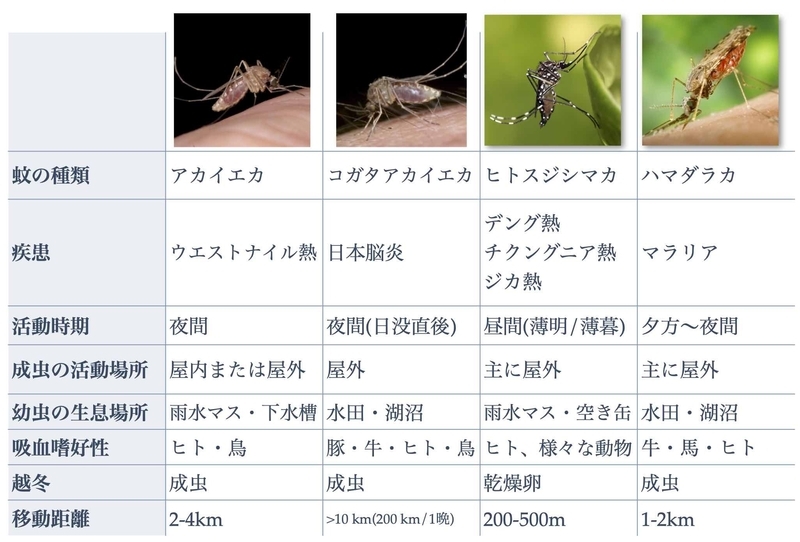 蚊の種類と代表的な感染症(Jong Travel and Tropical Medicine Manual, 4th ed.を参考に筆者作成)