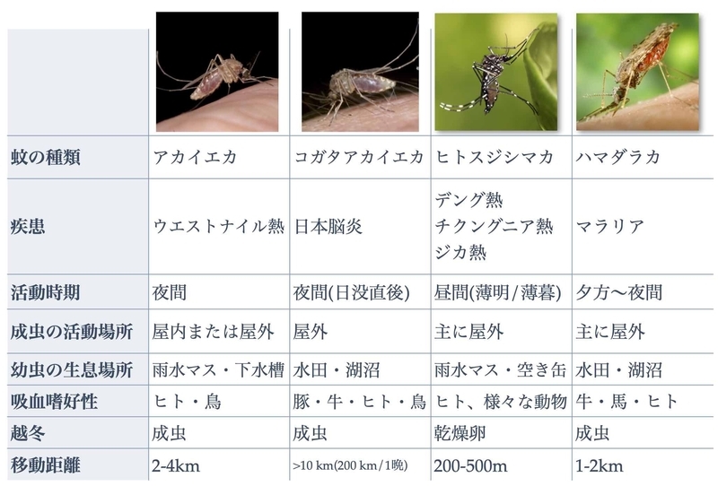 蚊の種類と代表的な感染症（Jong Travel and Tropical Medicine Manual, 4th ed.を参考に筆者作成）