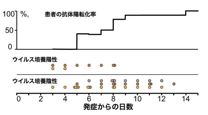 発症からの日数とウイルス培養陽性/陰性の推移（https://doi.org/10.1038/s41586-020-2196-xより）