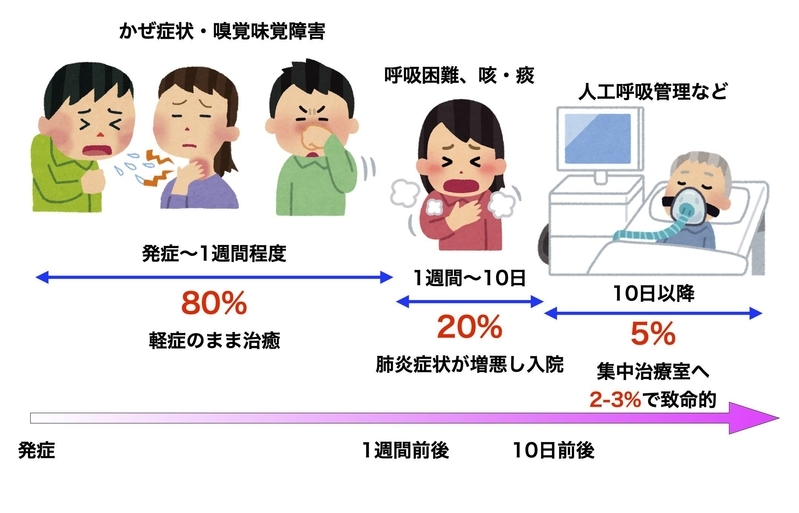 新型コロナウイルスの典型的な経過（筆者作成）