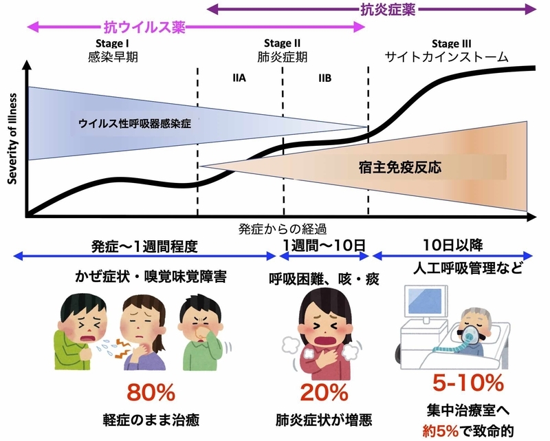 新型コロナの経過と治療薬の考え方(doi:10.1016/j.healun.2020.03.012を参考に筆者作成)