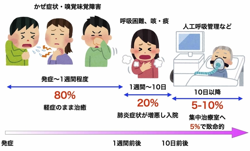 新型コロナウイルスの典型的な経過（筆者作成）