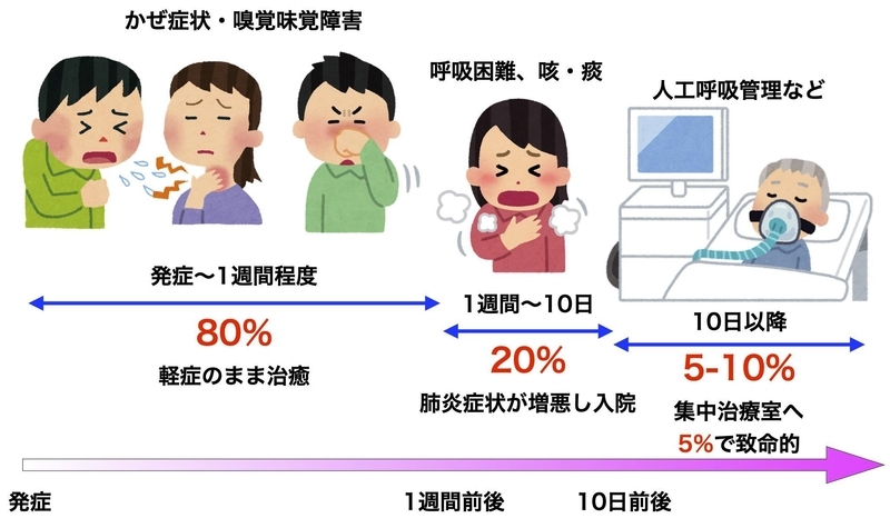 新型コロナウイルス感染症の経過（筆者作成）