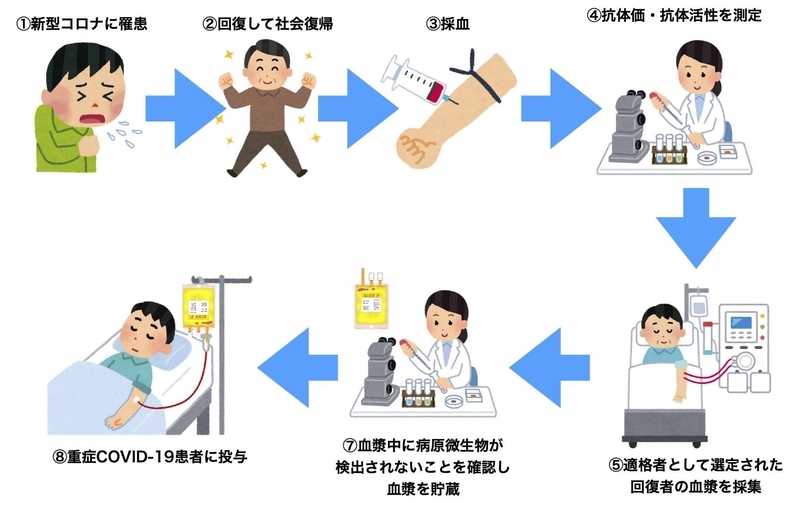 回復者血漿療法の流れ(いらすとやより筆者加工)