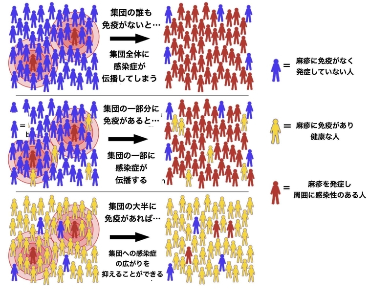 集団免疫の考え方(麻しんの場合 Wikipediaの図より筆者作成)