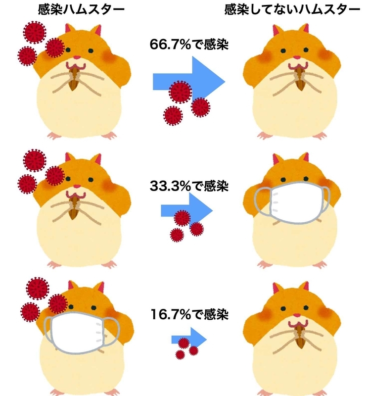 ハムスターでのマスク効果を検証した実験（Clin Infect Dis . 2020 May 30;ciaa644.）