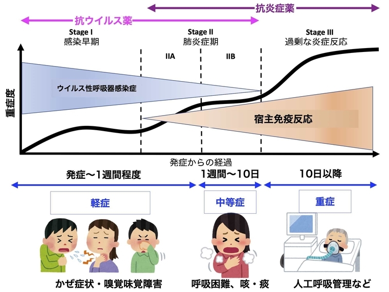 新型コロナウイルス感染症の経過と治療の考え方（doi:10.1016/j.healun.2020.03.012を参考に筆者作成）