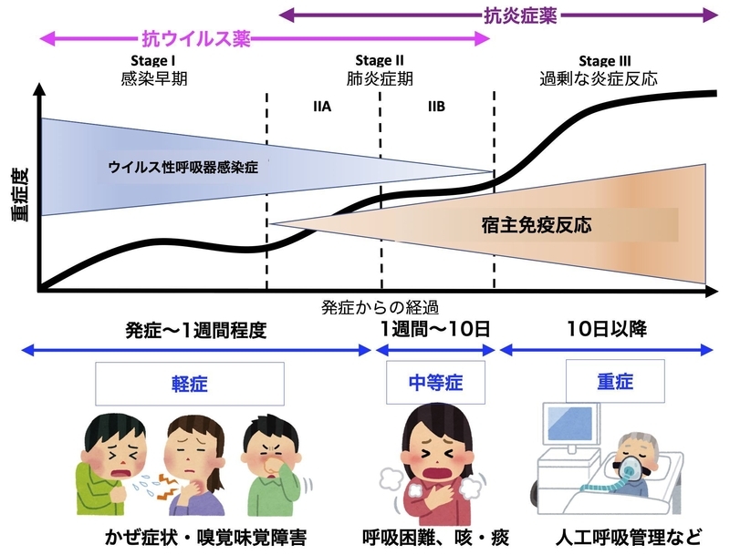 新型コロナの治療の考え方（doi:10.1016/j.healun.2020.03.012に筆者追記）