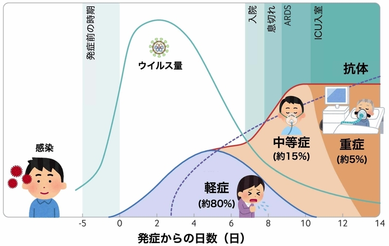 新型コロナウイルス感染症の経過（BMJ 2020;371:m3862より イラストと頻度は筆者加筆）