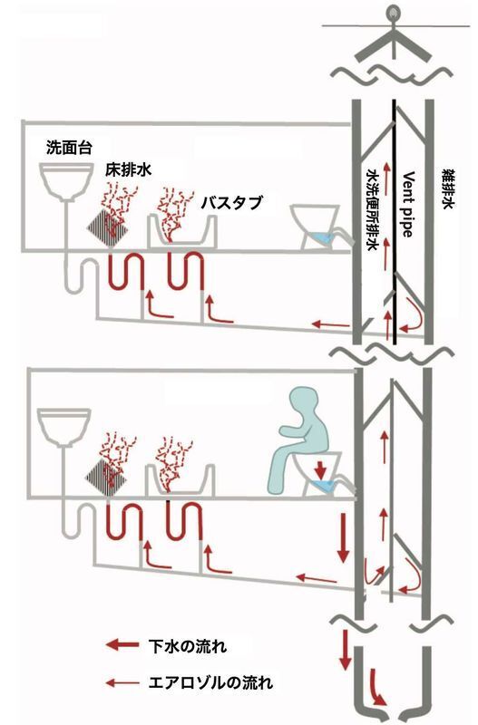 便から発生したエアロゾルが配管を通って伝播したと考えられる事例（https://doi.org/10.7326/M20-0928より）