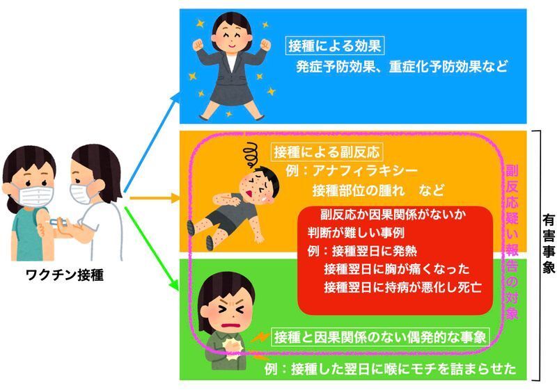 ワクチン接種による効果、副反応、有害事象の関係（第51回 厚生科学審議会予防接種・ワクチン分科会副反応検討部会資料3を参考に筆者作成）