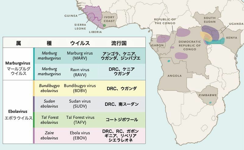 エボラウイルスと流行国（DOI: 10.1056/NEJMra1901594）