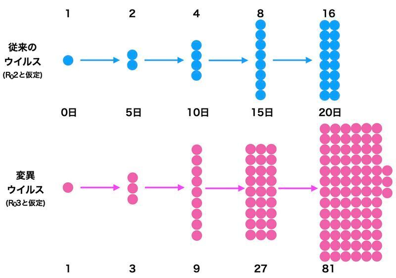 従来のウイルスと、感染力が強くなった変異株との感染者拡大のスピードの違い(筆者作成)