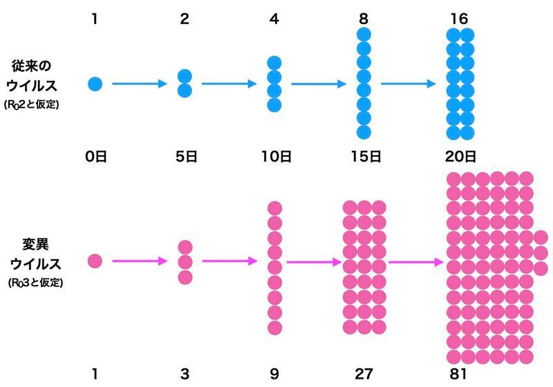 従来のウイルスと、感染力が強くなった変異株との感染者拡大のスピードの違い（筆者作成）