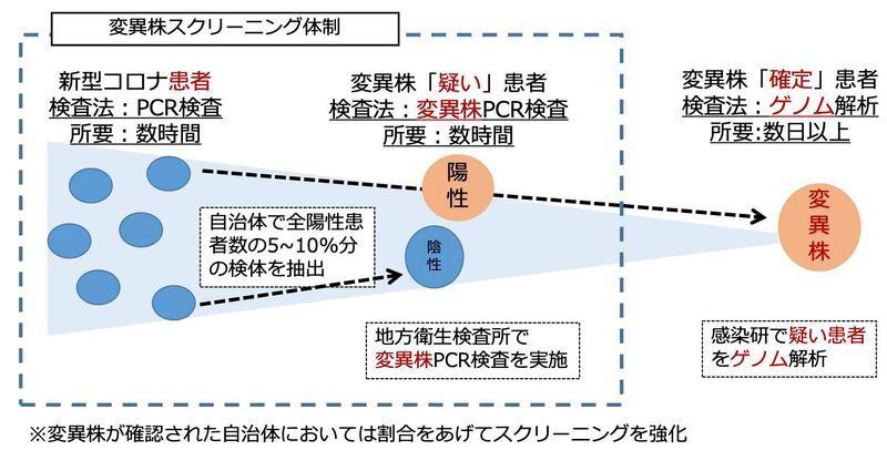 国内での変異株スクリーニング体制（新型コロナウイルス感染症(変異株)への対応. 厚生労働省資料より）