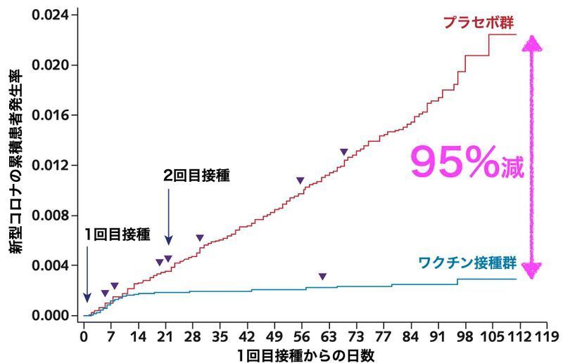 ファイザー社のワクチンのランダム化比較試験でのワクチン接種群とプラセボ群の新型コロナ発生率の推移(https://doi.org/10.7326/M21-0111)