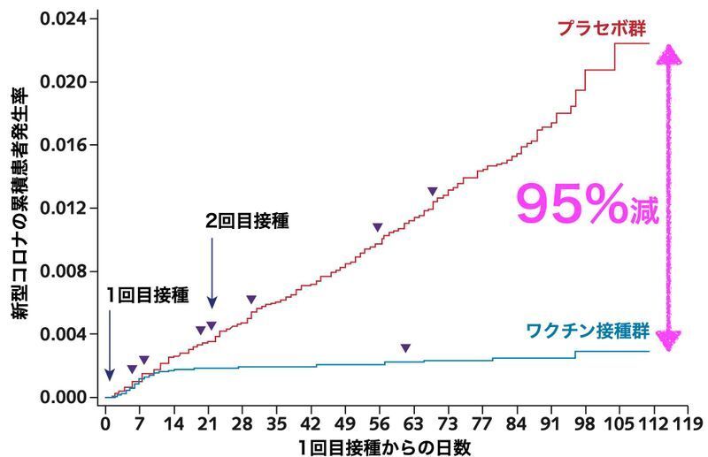 ファイザー社のワクチンのランダム化比較試験でのワクチン接種群とプラセボ群の新型コロナ発生率の推移（https://doi.org/10.7326/M21-0111）