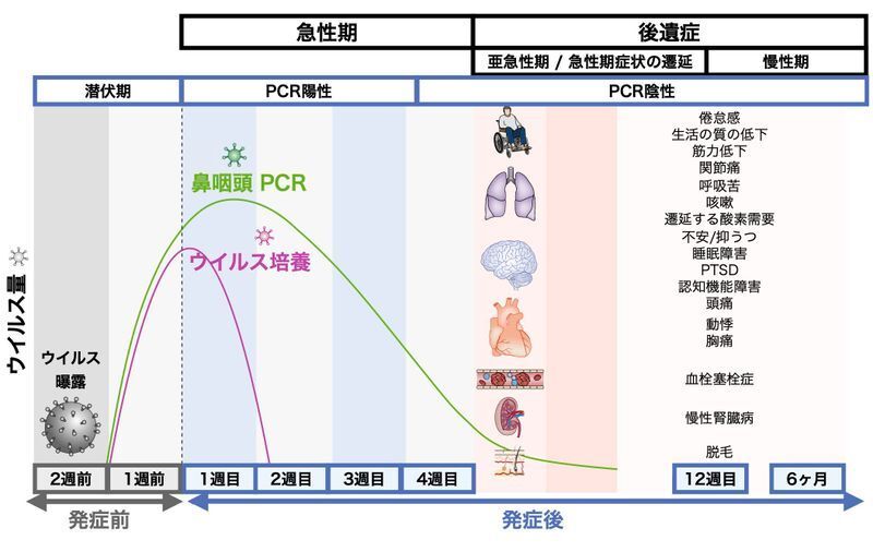 新型コロナの経過と様々な後遺症(https://doi.org/10.1038/s41591-021-01283-z)