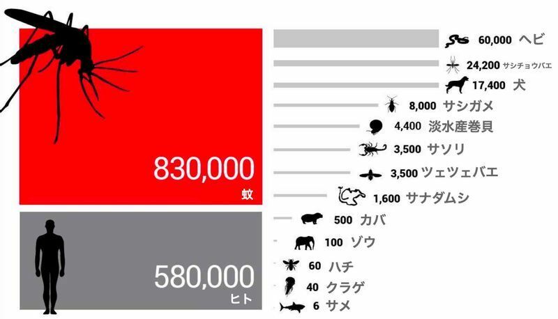 The World's Deadliest Animals（Gates Noteより）