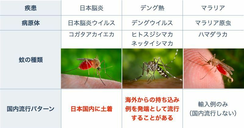 日本で発生しうる主な蚊媒介感染症とその特徴（筆者作成）